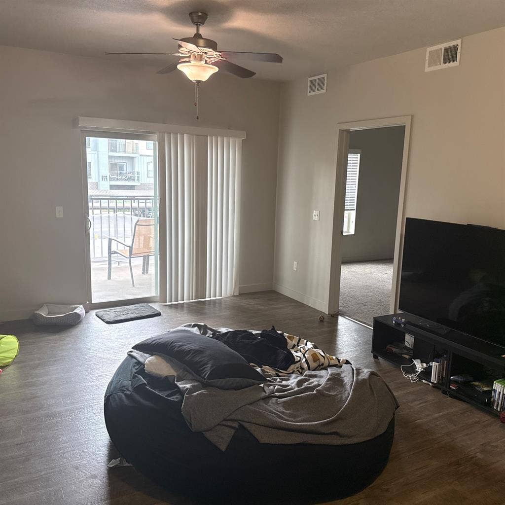 Private room/ optional cat visits