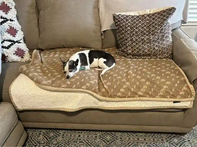 Share my condo
