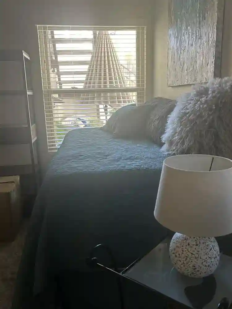 Share my condo