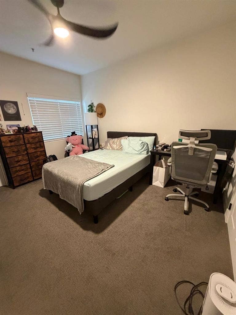 Looking for a female roommate