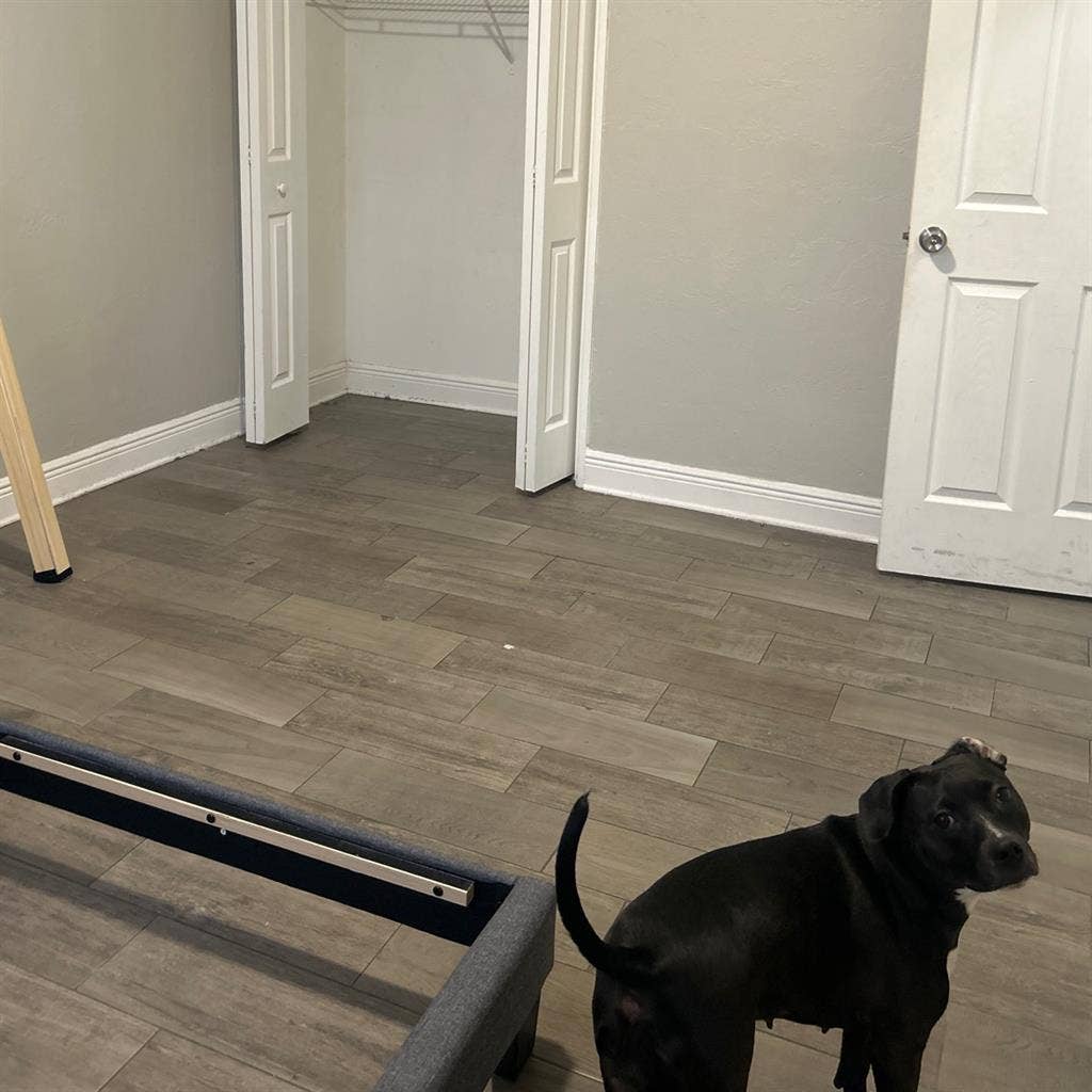 Short term Rent (close to main rd)