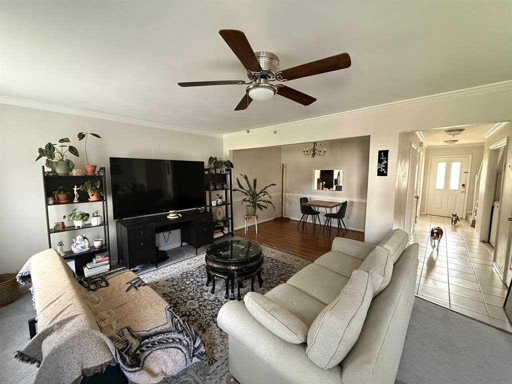 Two Private Rooms for Rent