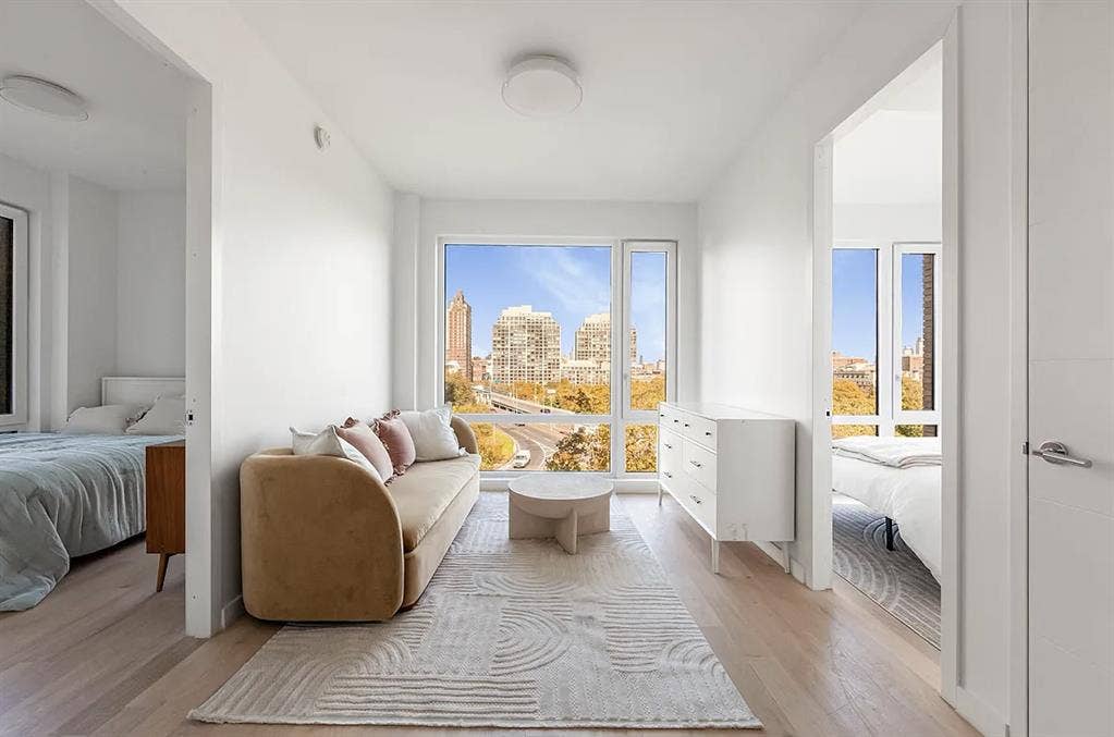 Female Roommate | DT Bklyn $3,250