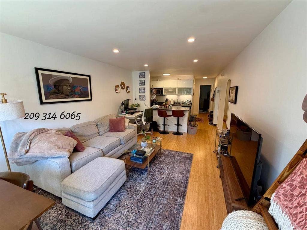 About Lower Pacific Heights