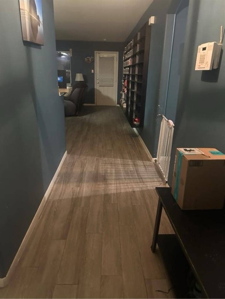 roommates wanted