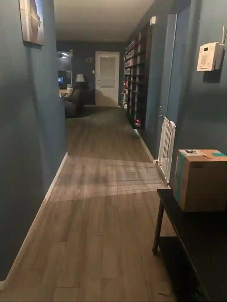 roommates wanted