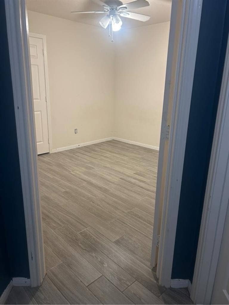 roommates wanted