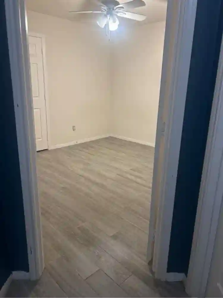 roommates wanted