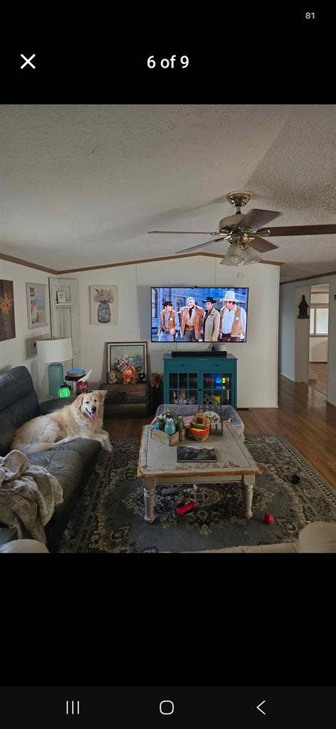 New Listing