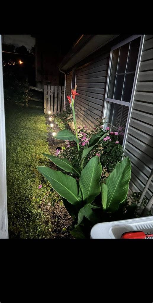 Room for rent!