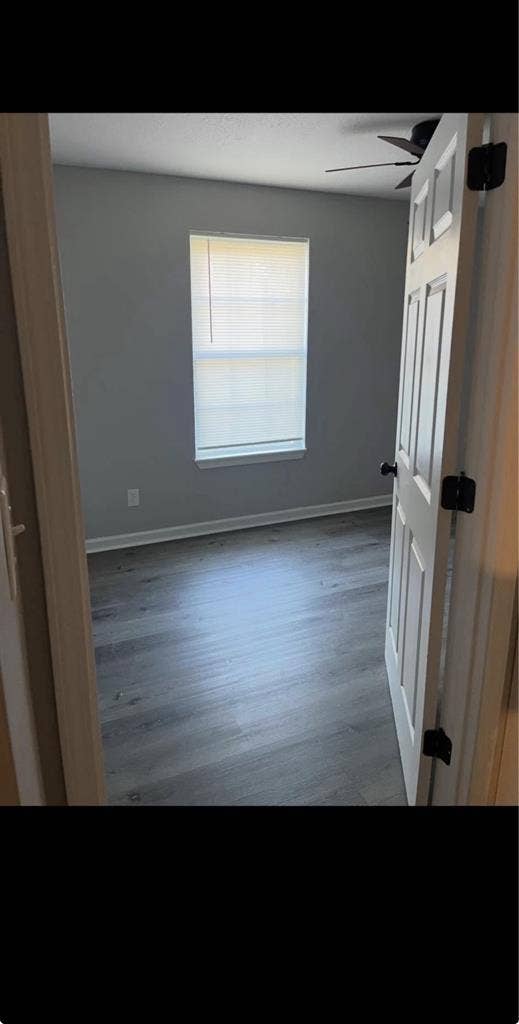 Room for rent!