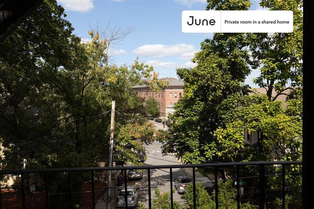 5 BR in Boston