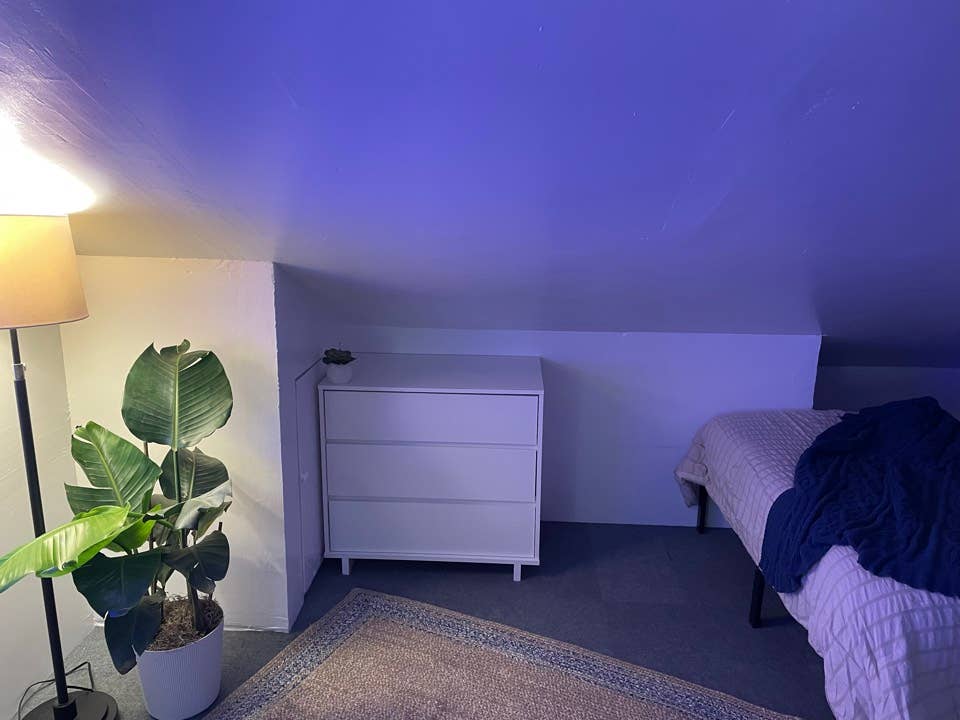 Room for Rent