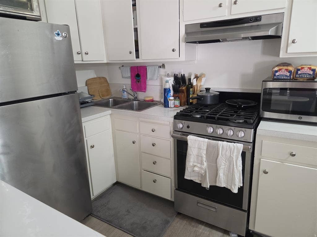Seeking roommate and friend