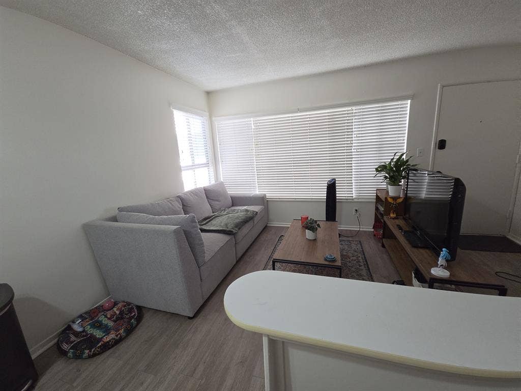 Seeking roommate and friend
