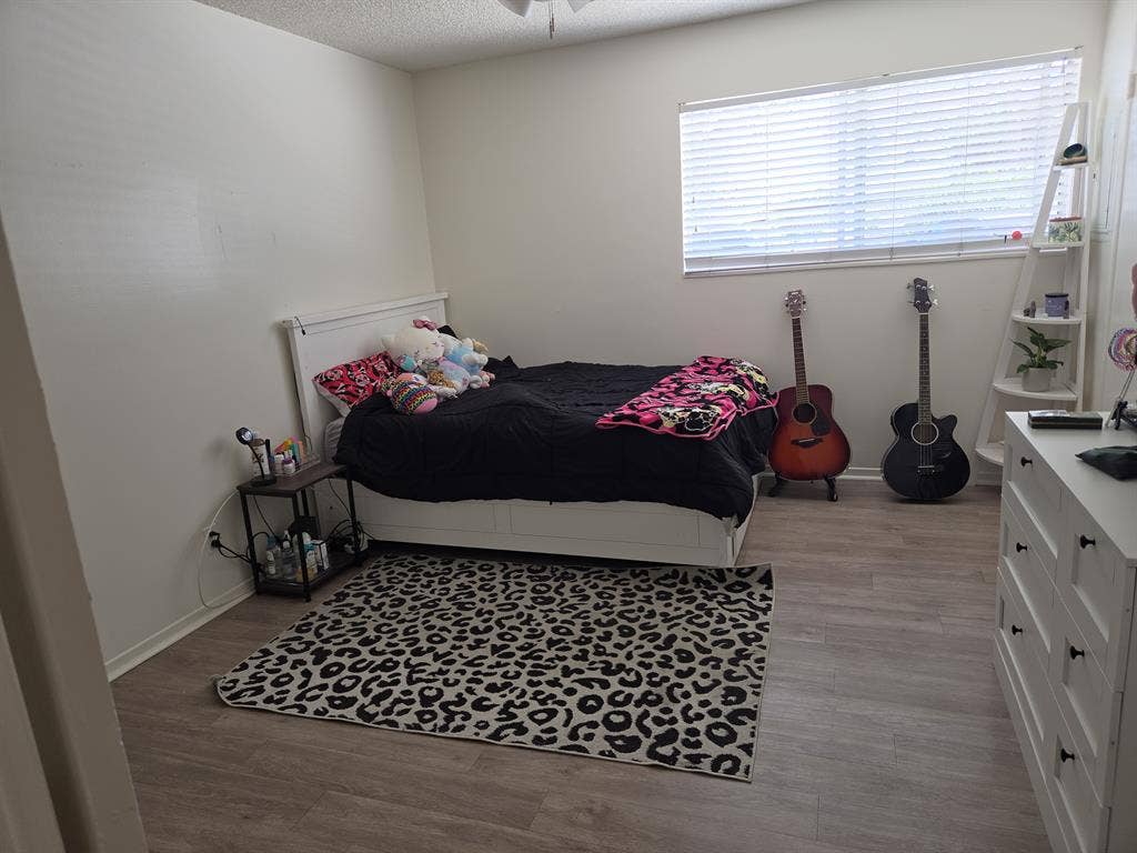 Seeking roommate and friend