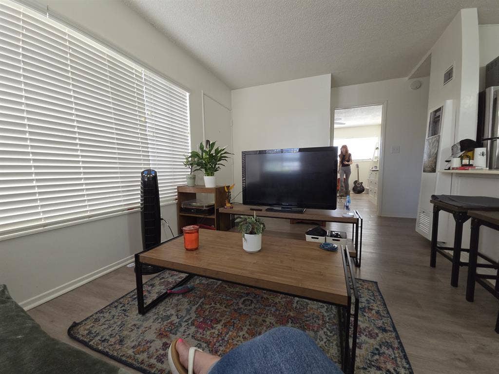 Seeking roommate and friend