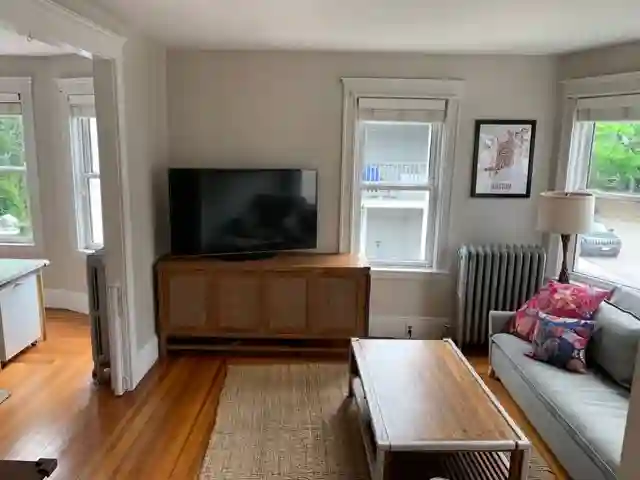 Charming 3 bedroom in Boston