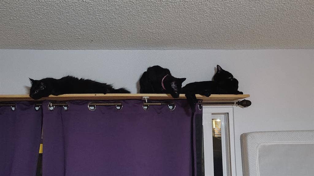 Roomshare near CSU Fullerton
