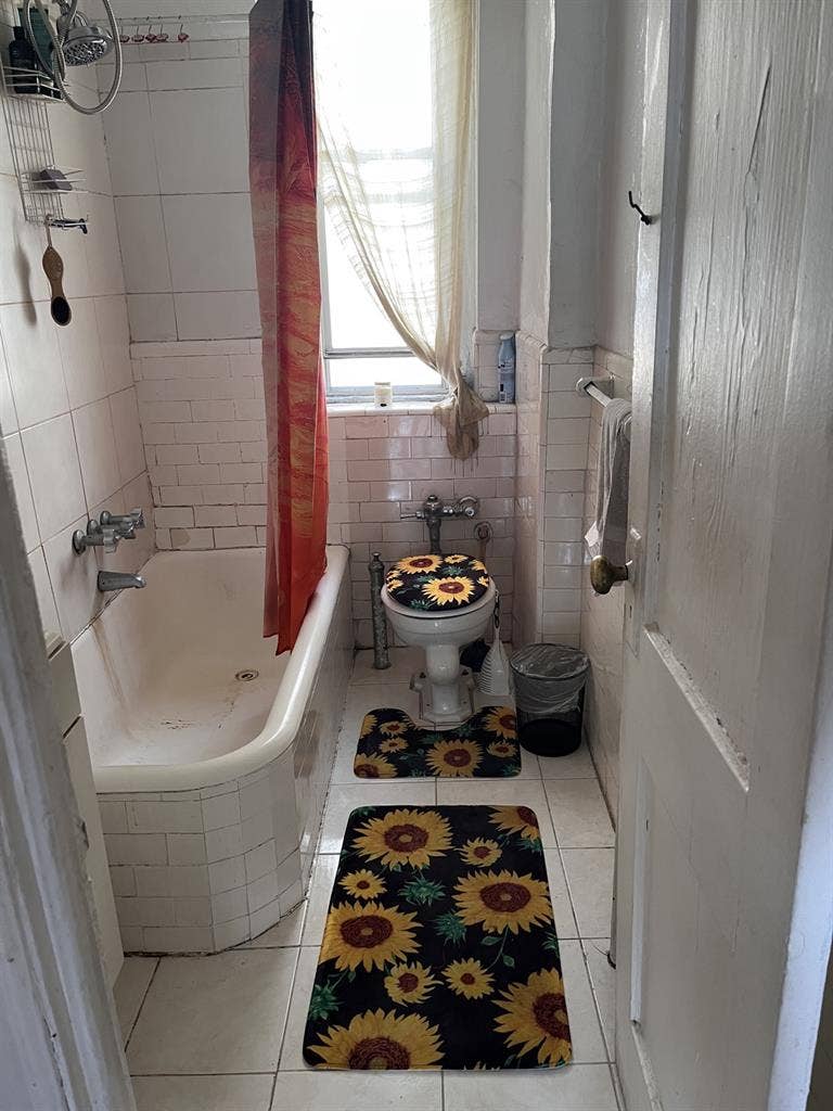 Large 1 bedroom in Astoria