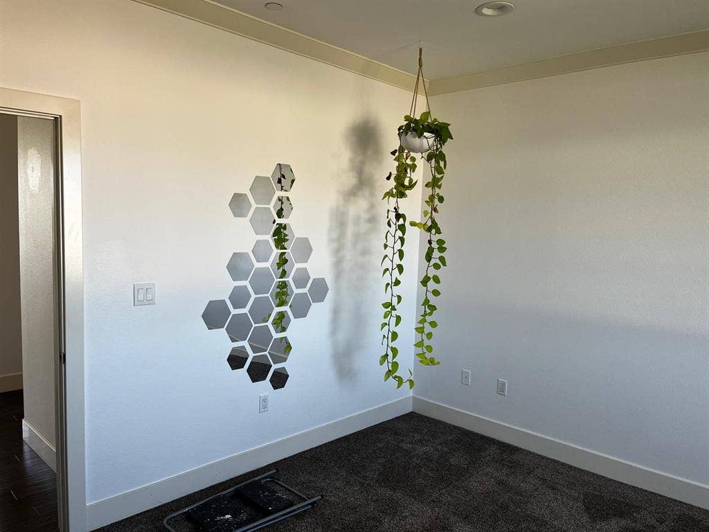 Private Rooms on Property