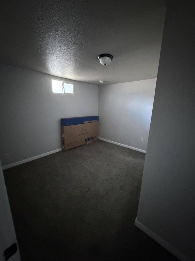 Looking for a Roomie!