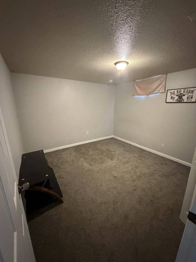 Looking for a Roomie!