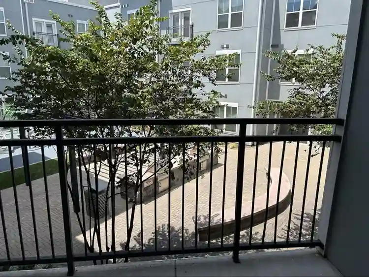 Desirable Zilker Neighborhood!