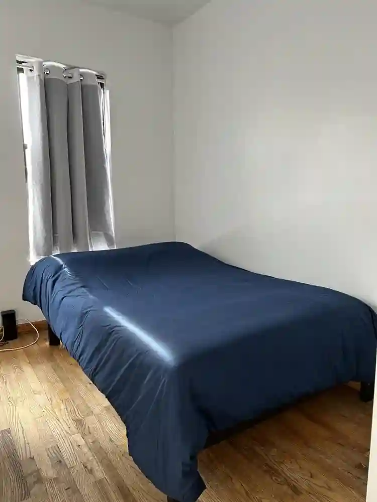 Looking for roommate