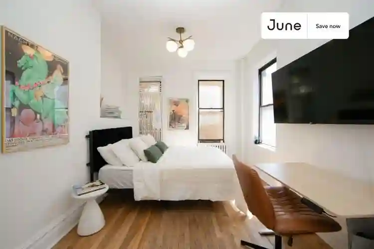 1 BR in New York City