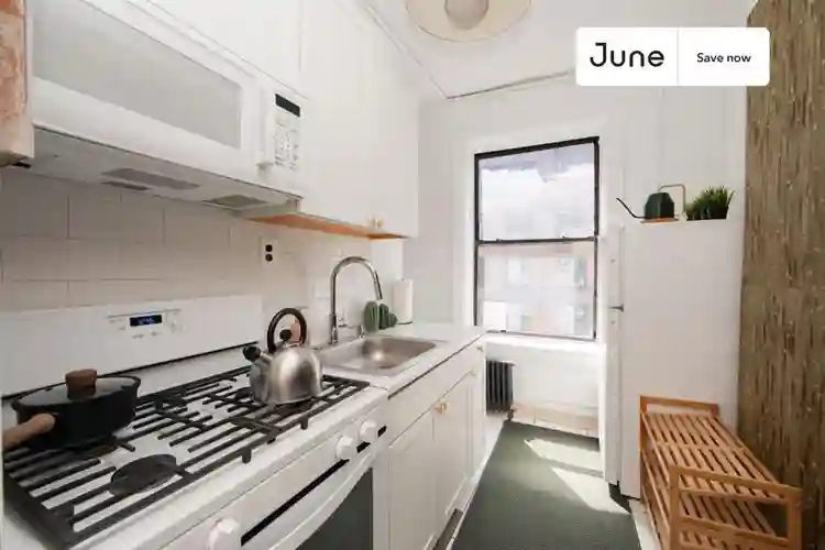 1 BR in New York City