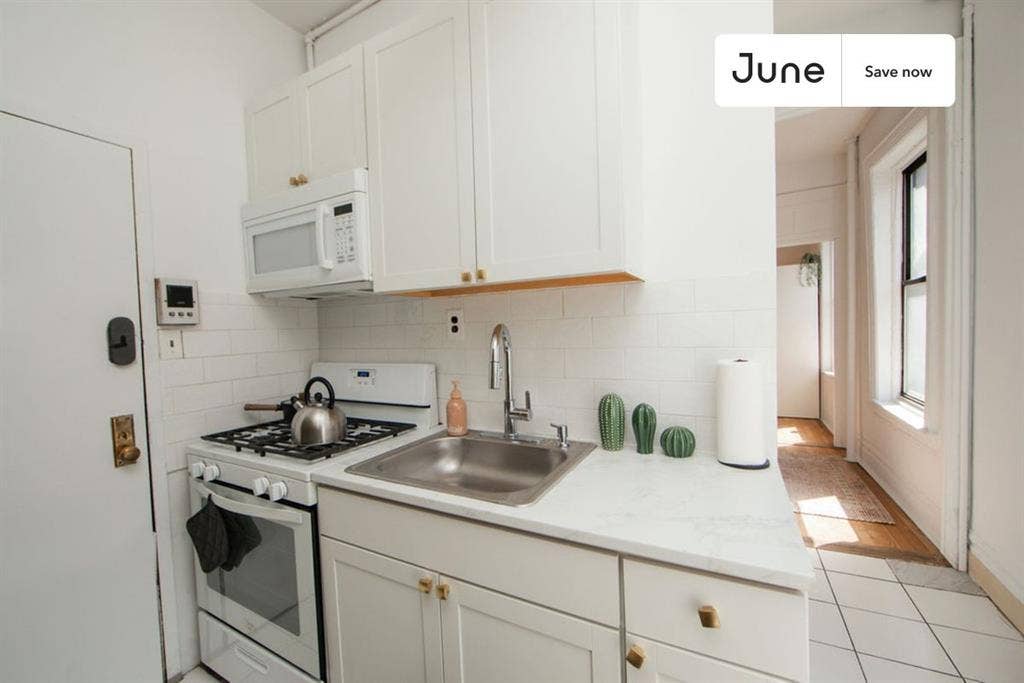 1 BR in New York City