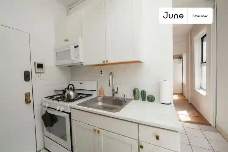 1 BR in New York City