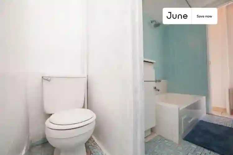 1 BR in New York City