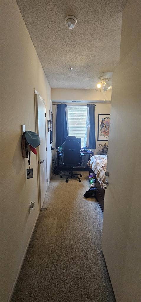 Student lease Takeover
