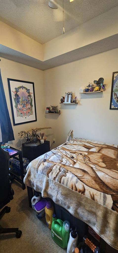 Student lease Takeover