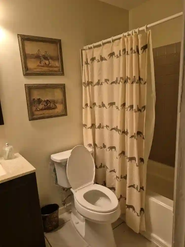 Room for rent