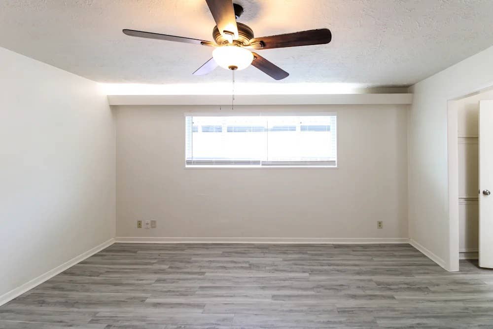 Move In Ready Room For Rent