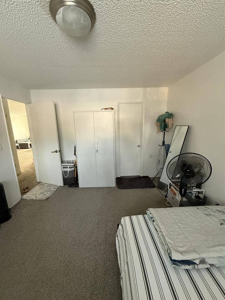 Large Bedroom with Own Half Bath