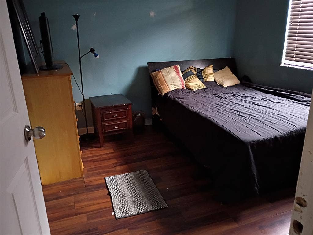 Kendall room cat and dog friendly