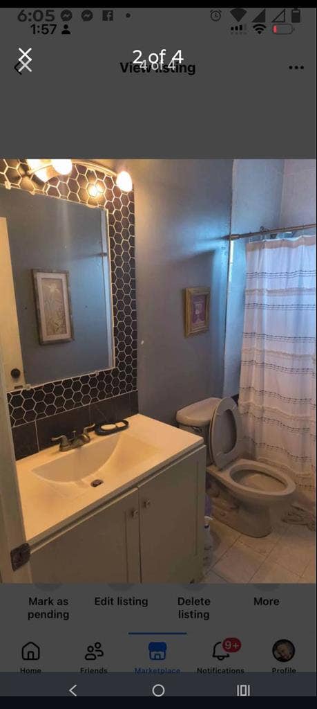 Kendall room cat and dog friendly