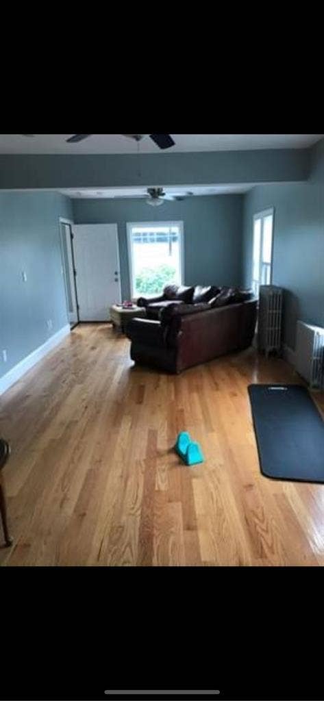 Roommate wanted