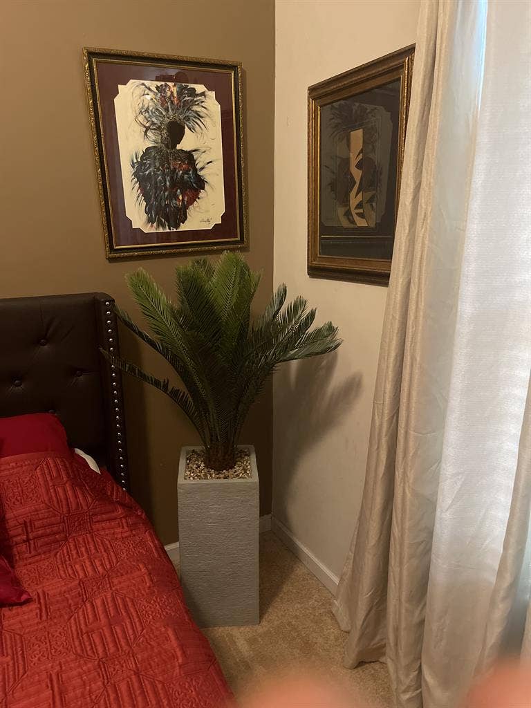 Looking for a male roommate