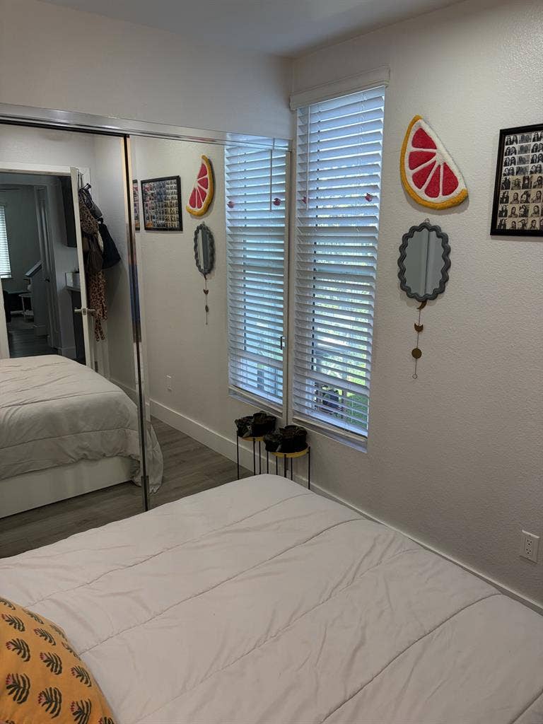 Roommate in Normal Heights Sept 1