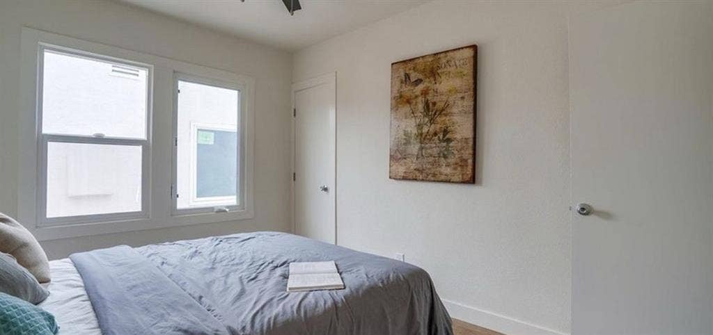 looking for a new Roomie!