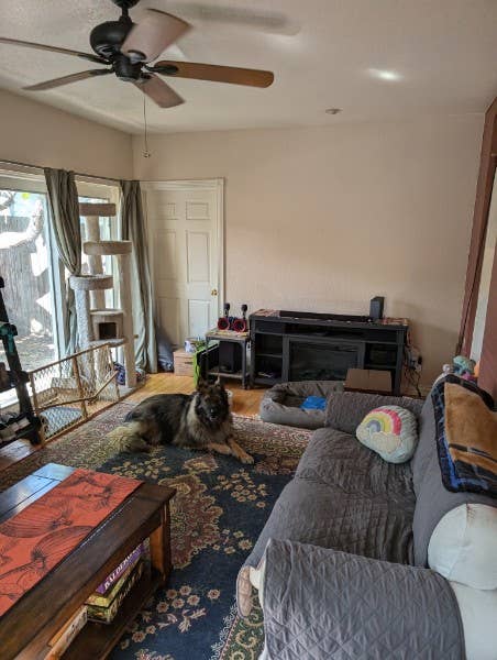 Room with private bathroom for rent
