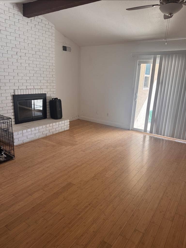 Roommate Needed