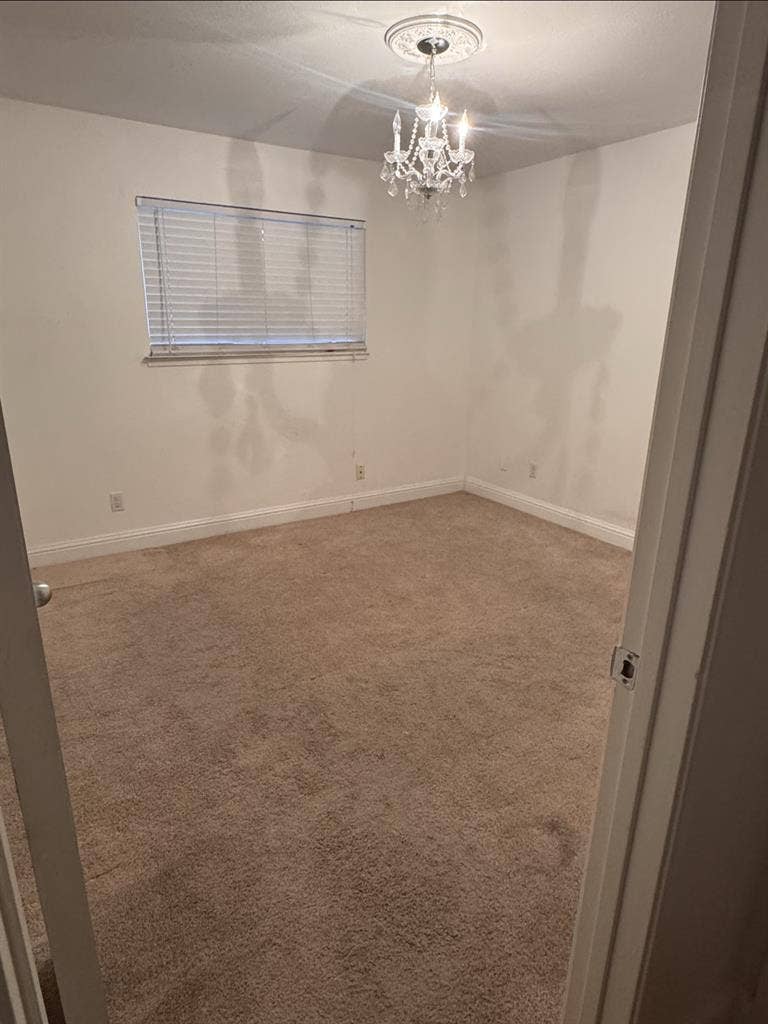 Roommate Needed