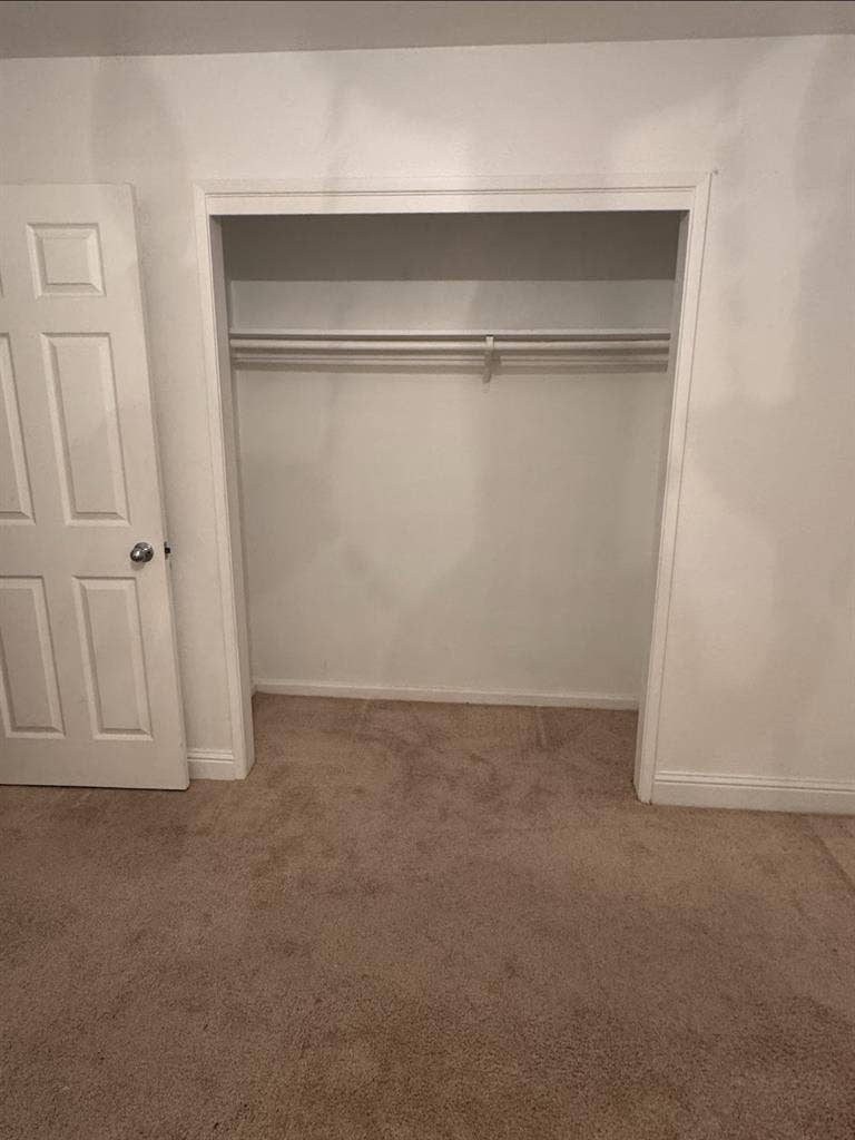 Roommate Needed