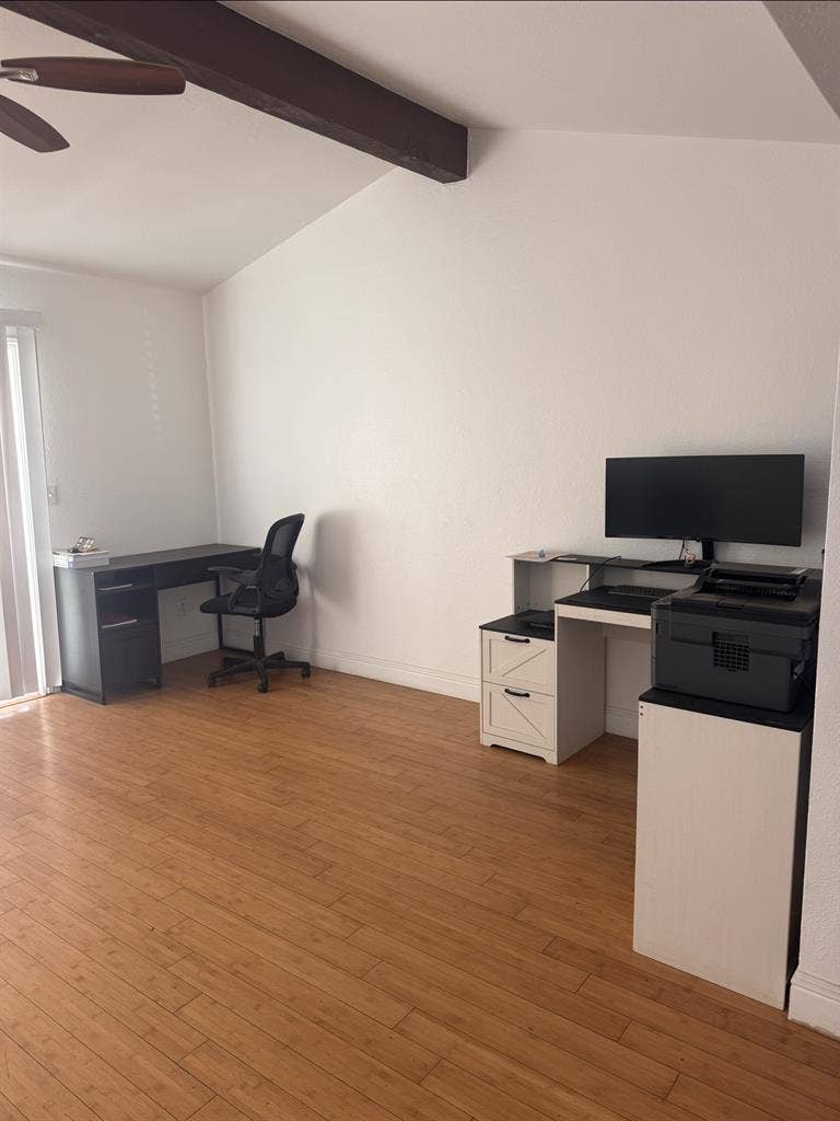 Roommate Needed